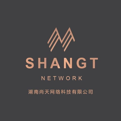 湖南尚天網(wǎng)絡(luò)科技 創(chuàng)新驅(qū)動(dòng)，賦能數(shù)字未來