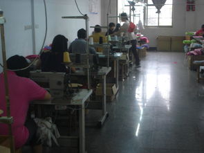 金華市婺城區麗華日用品廠 專注品質，服務生活的個體經營典范